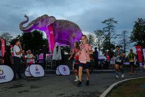 BIB: 
                            <button type="button" onclick="openModal(26529582)" class="btn btn-primary btn-sm float-right btn-popup" data-toggle="modal" data-target=".modal-high-quality">
                        <i class="fas fa-shopping-cart"></i> Add to Cart
                    </button>
                                            <button type="button" onclick="isThisMe(26529582, true)" class="btn btn-success btn-sm float-right btn-popup btn-isme hidden" data-toggle="tooltip" data-placement="bottom" title="นี่คือรูปของคุณใช่ไหม คลิกที่นี่เพื่อเอาเข้าอัลบั้ม">
                        <i class="fas fa-plus"></i> Add to album
                    </button>
                    <button type="button" onclick="isThisMe(26529582, false)" class="btn btn-warning btn-sm float-right btn-popup btn-isnotme hidden">
                        <i class="fas fa-ban"></i> Remove from album
                    </button>